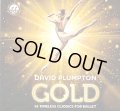 新品レッスンCD/デヴィッド・プランプトン David Plumpton GOLD