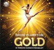 画像1: 新品レッスンCD/デヴィッド・プランプトン David Plumpton GOLD (1)